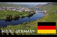 Mosel Wine tourism: German Riesling Wine Moselle Valley Germany wines Deutshland Tourismus Travel