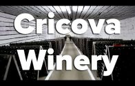 Cricova-Winery-and-Cellar