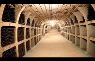 The-Biggest-Wine-Cellar-in-the-World-Milestii-Mici-Winery