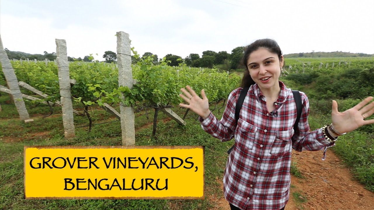 Grover Vineyards Bengaluru Wines TV