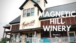 Wine-Tasting-at-Magnetic-Hill-Winery